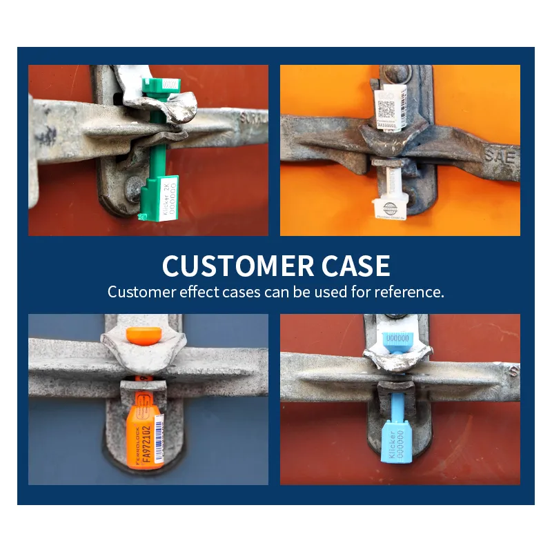 Analysis of bolt seals