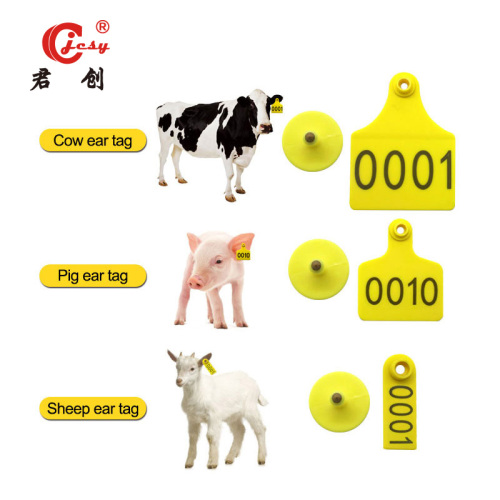 Numbered Large Cattle Ear Tags for Pig Sheep