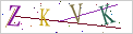 ver_code